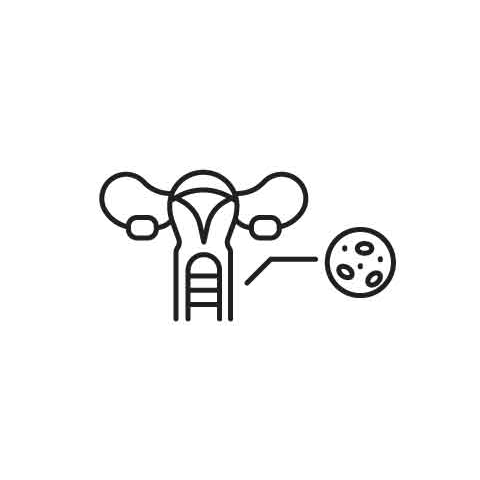 Female Urology