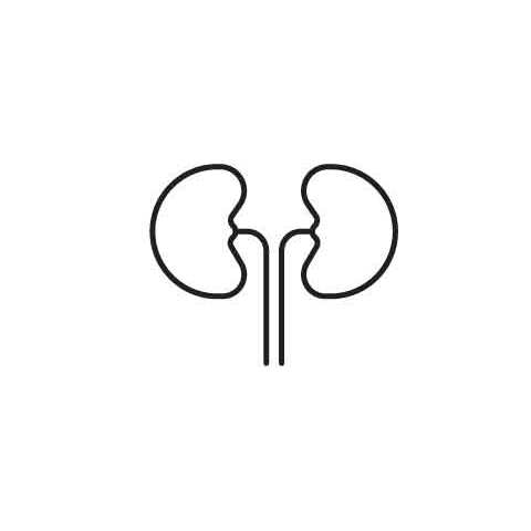 PCNL