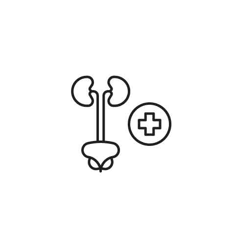 Renal Tumors